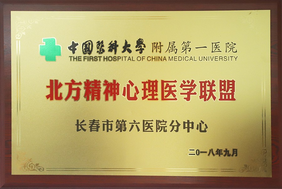 8.中国医科大学附属第一医院-北方精神心理医学联盟.jpg